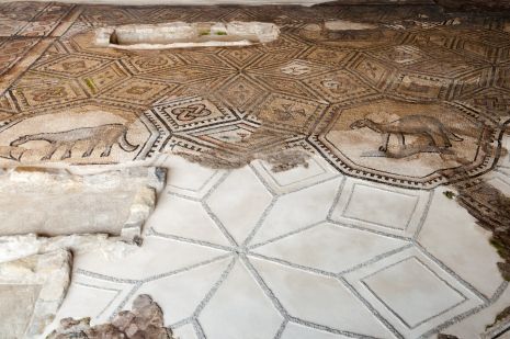 Il pavimento a mosaico restaurato della Basilica di Aquileia